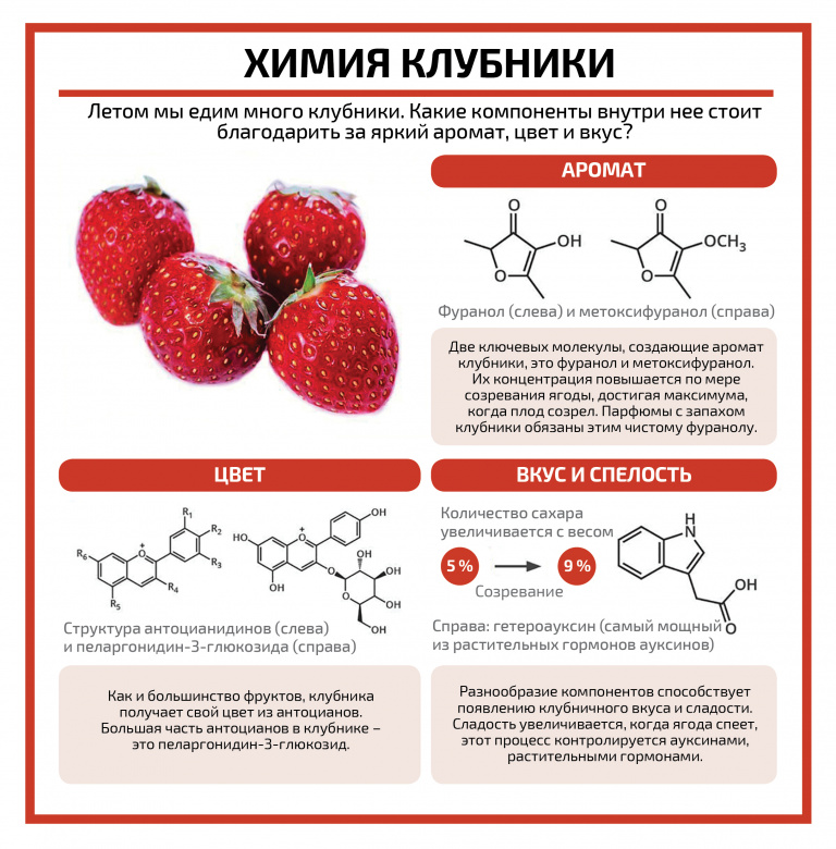 Химический состав клубники, инфографика: Andy Brunning, С&EN 2015, chemicalsafetyfacts.org