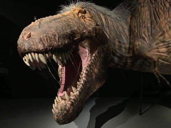 Что мы знаем о запахах динозавров