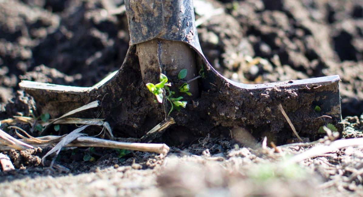 Подготовка грунта. Удобрение для деревьев. Что лучше вносить в почву весной. Древесная зола для почвы. Обработка почвы весной.