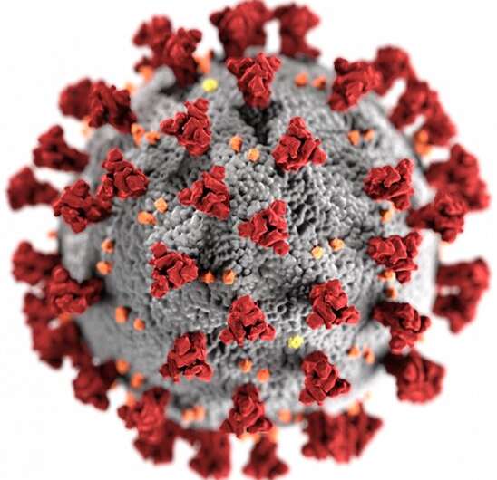 Названы ключевые особенности шиповидноно белка коронавируса