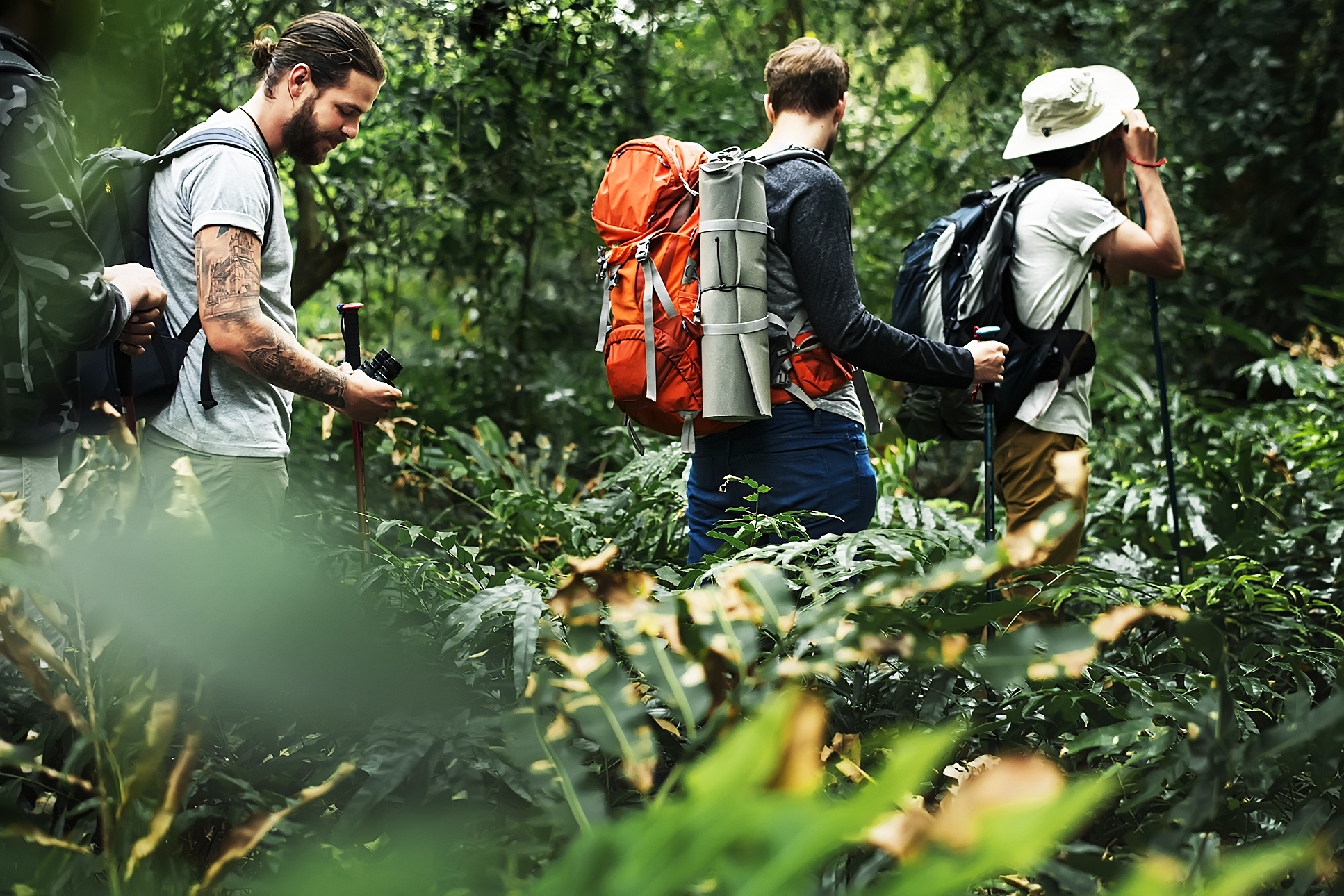 Camping и Hiking разница