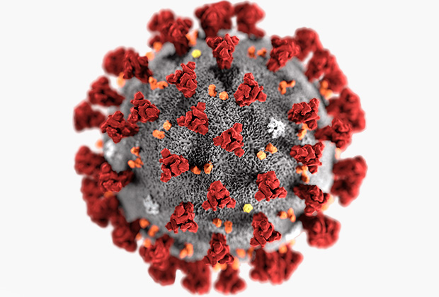 Обнаружены данные о пандемии коронавируса несколько тысяч лет назад