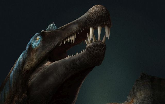 Изучение зубов динозавров доказало, что их хозяева были речными хищниками