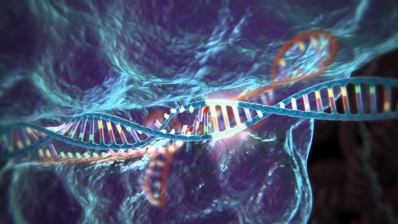 Природа генетического. CRISPR cas9. Генетика CRISPR. Технологии CRISPR редактирования генов. Геном CRISPR-CAS.