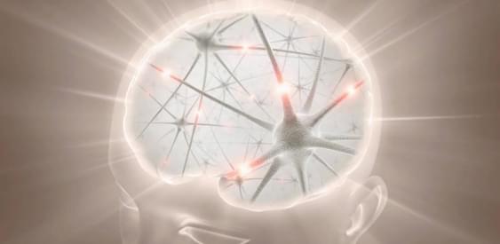 Восстанавливаются ли нервные клетки? 