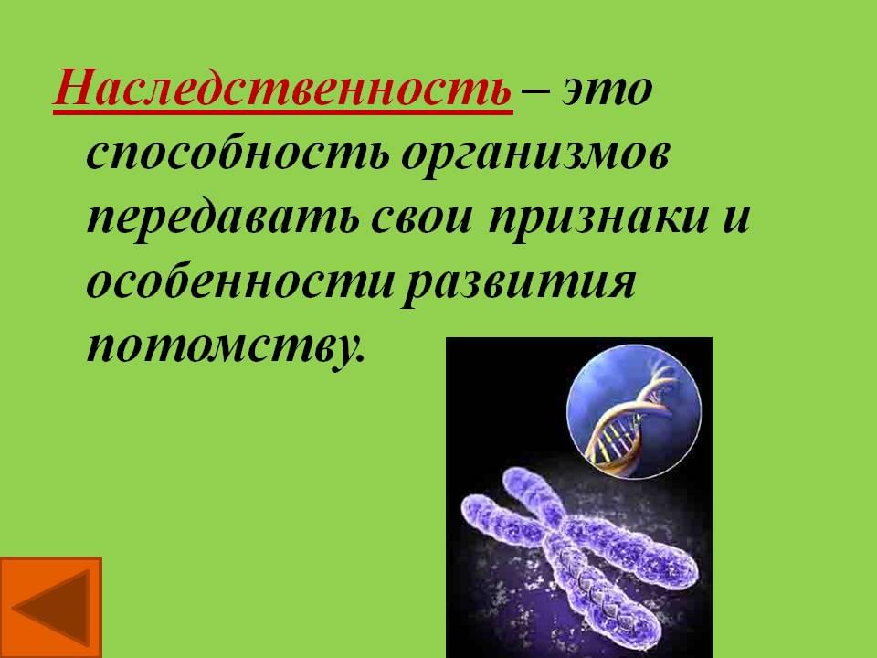 Иммунитет передающийся детям от родителей по наследству. От родителей потомкам передаются. От родителей потомкам передаются. От родителей потомкам передаются. От родителей потомкам передаются.