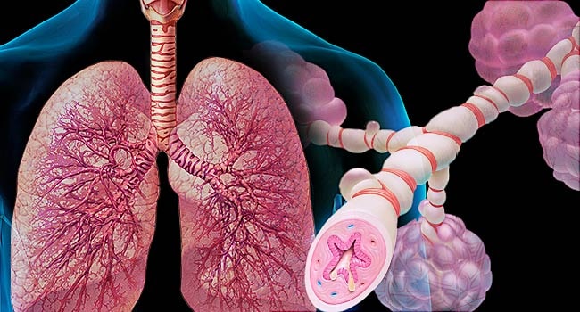 Найден эффективный препарат против тяжёлых форм астмы