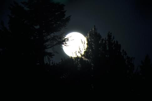В ночь с субботы 18 мая можно увидеть голубую луну
