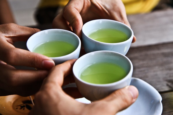 Антиоксидант из зеленого чая защищает «хранителя генома»
