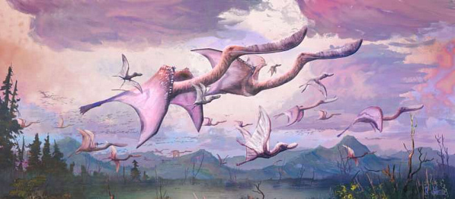 Птенцы птерозавров могли летать сразу после вылупления