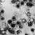 Исследователи смогли остановить репликацию герпесвирусов