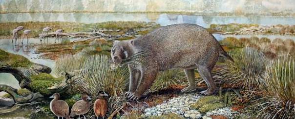 Гигантское вомбатоподобное существо, весящее более 100 килограмм, бродило по доисторической Австралии 25 миллионов лет назад