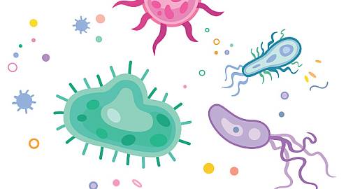 Когда чужой важнее своего: до чего доводит «охота на ведьм»