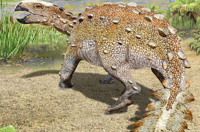 Обнаружен ранее неизвестный динозавр, имевший «хвост-пилу»