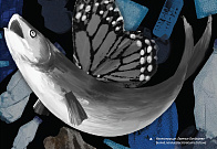 Конкурс социальной рекламы «Сделать мир лучше!»