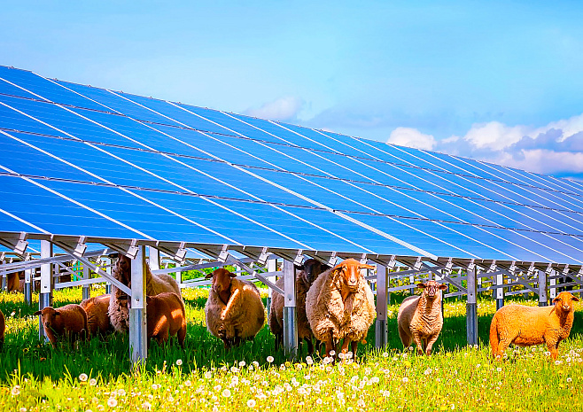 Солнечные батареи: все за и против 