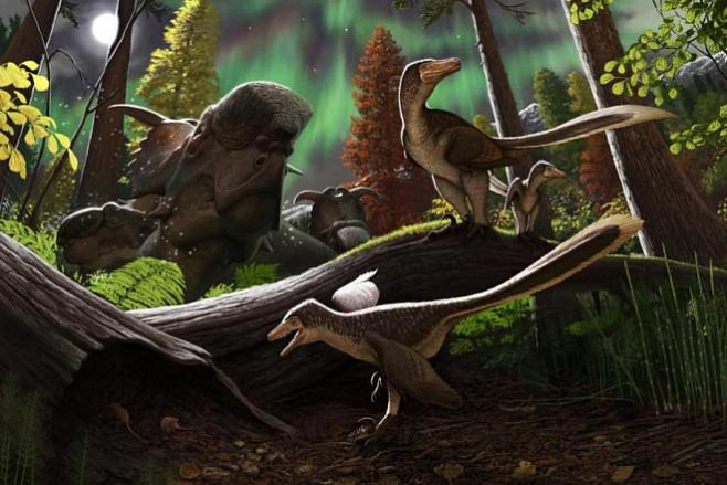 Учёные обнаружили свидетельство жизни динозавров на Аляске