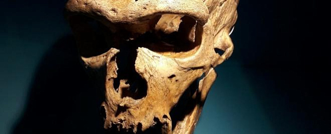 Неандертальцы могли производить человекообразную речь 