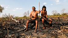 Коренное население Амазонки на грани исчезновения