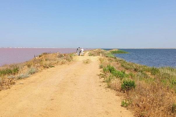Экологи СПбГУ выявили загрязнение уникальных озер на западе Крымского полуострова