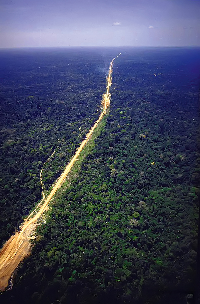 Шрамы на изумруде Амазонии 