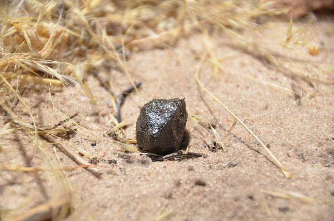 Астрономы выяснили, откуда прибыл метеорит, упавший на Землю в 2018 году