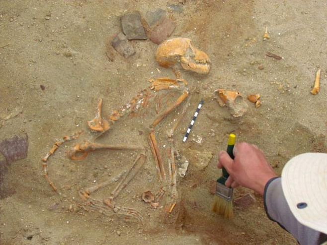 Археологи обнаружили могилы аккуратно похороненных обезьян 