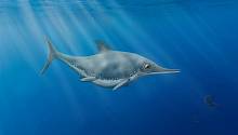 Доисторический «морской дракон», найденный на побережье Великобритании, оказался неизвестным ранее видом