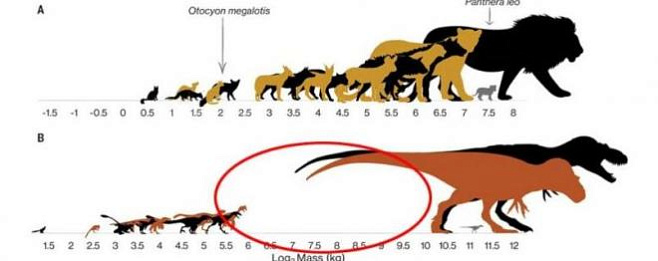 Почему динозавры были либо огромными, либо крохотными? Все дело в подростках