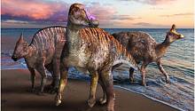 В Японии найдены останки нового вида утконосого динозавра