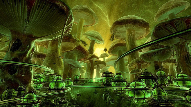 Европейские исследователи предложили строить грибные дома на Земле 