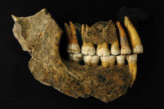 Неандертальцы вымерли раньше, чем думали учёные