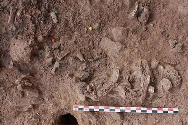 Люди каменного века кремировали своих покойников уже 9 тысяч лет назад