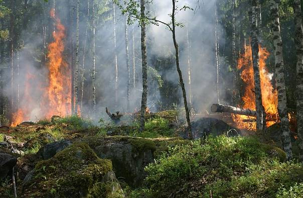 В России ликвидировали все лесные пожары