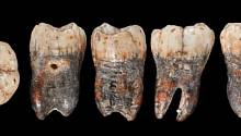 Давно потерянный зуб неандертальца заставил ученых пересмотреть некоторые представления о прошлом Homo sapiens 