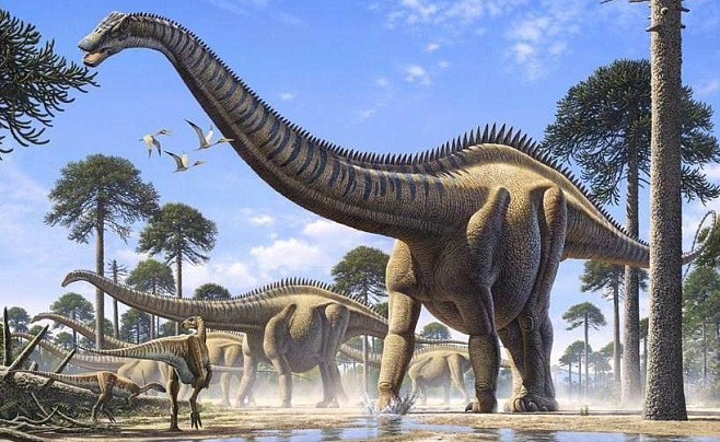 Суперзавры могли быть самыми длинными динозаврами в истории