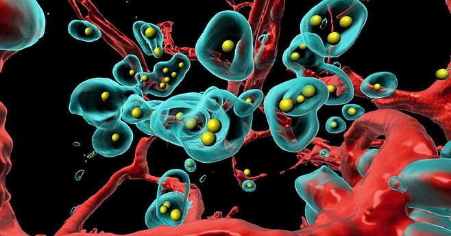 Учёные переделали вирус ОРВИ в орудие убийства раковых опухолей