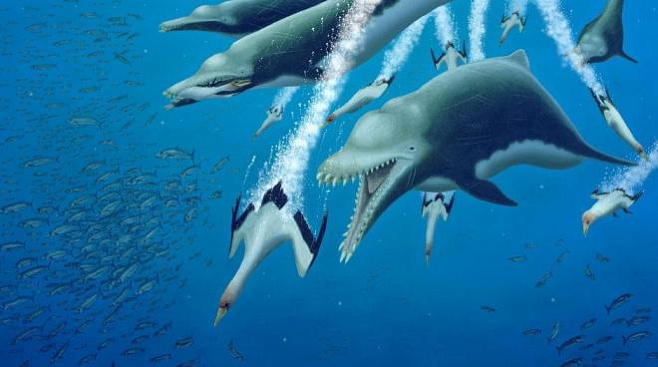 В США обнаружили останки древнего хищного дельфина