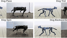 Как Google тренирует роботов-собак