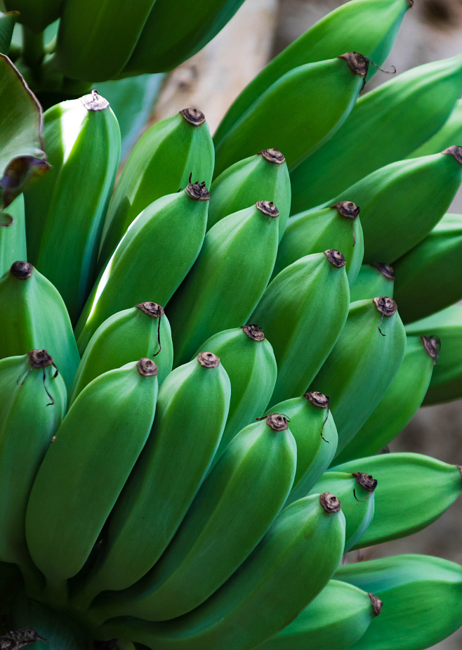 Бананы: плюс для сердца и мышц – но угроза увольнения для министра