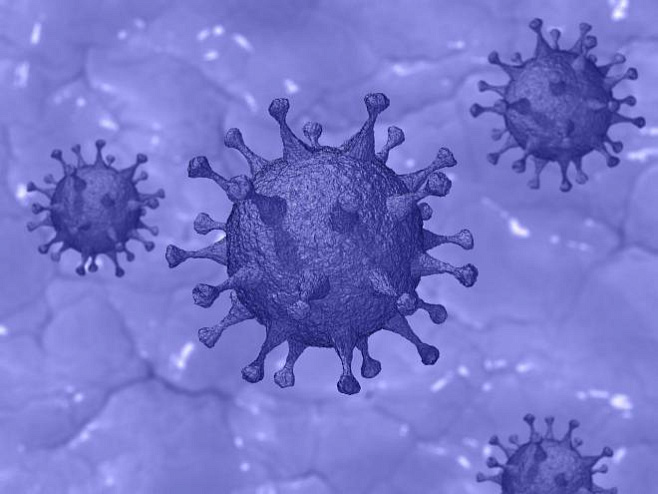 Значительное число людей в штате Нью-Йорк переболели коронавирусом, не зная об этом