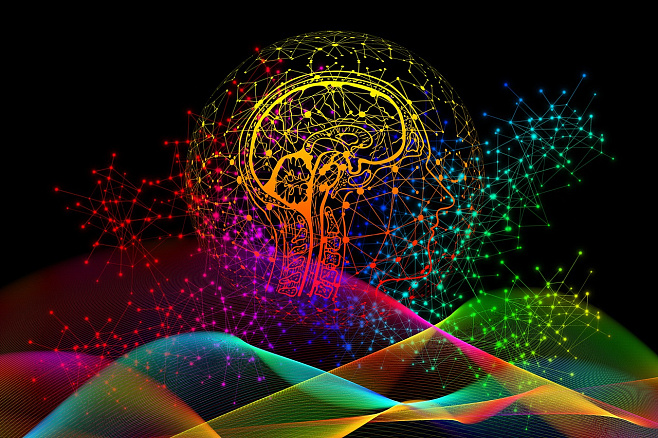 Способность мозга человека обучаться в течение жизни использована для компьютерного интеллекта