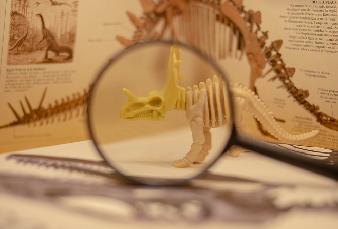 Палеонтологи СПбГУ и Великобритании открыли самый древний полный скелет хвостатой амфибии-«супергероя»