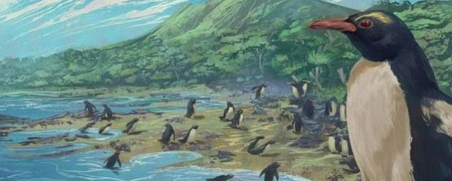 Предок всех пингвинов обитал на «потерянном» 8-м континенте Земли