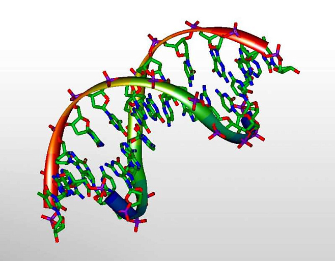 Новый софт поможет выявлять повторяющиеся последовательности ДНК