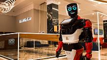 В Мурманском музее появились роботы-консультанты