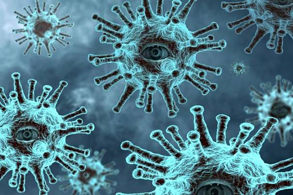 Вакцина от туберкулеза как профилактика COVID-19: новые данные
