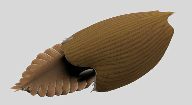 В Канаде нашли следы одного из самых больших существ кембрийского периода