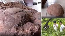 Китайские студенты обнаружили редкие яйца динозавров