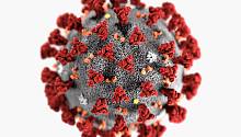 Обнаружены данные о пандемии коронавируса несколько тысяч лет назад